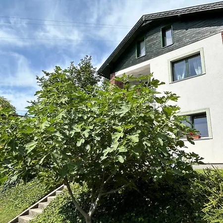 Zöldfüge