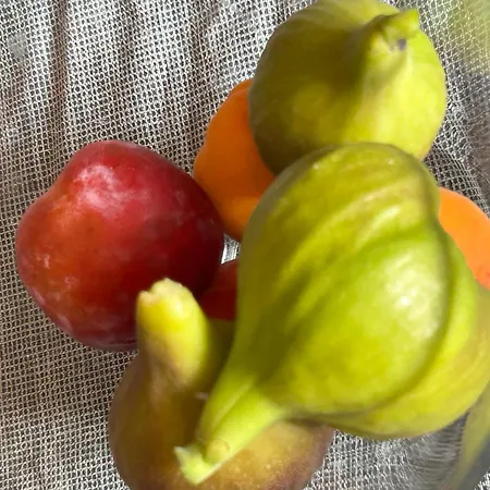 Zöldfüge Villa Balatonfůzfő