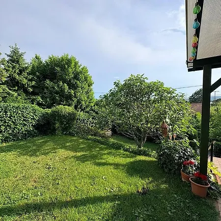 Zöldfüge Balatonfůzfő